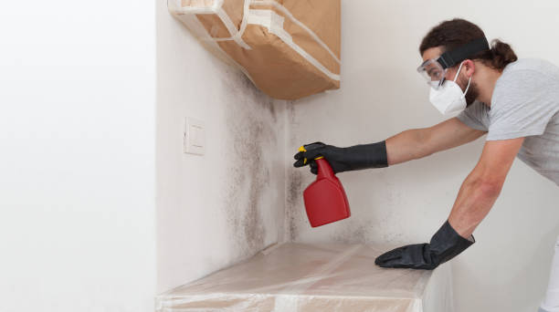 Professional Basement Mold Remediation technician working in Dupont, PA