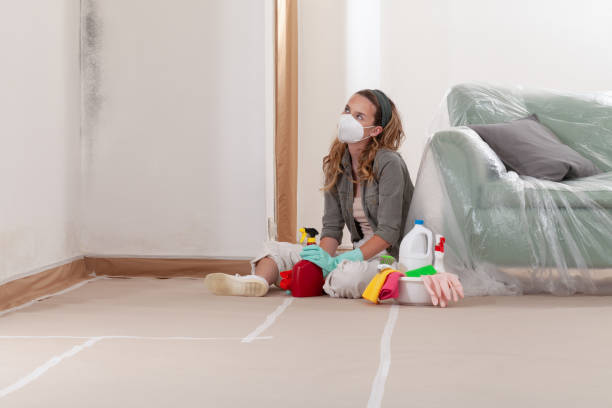Reliable Basement Mold Remediation contractor in Dupont, PA by Mold Remediation HQ
